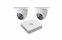 FLORA-2D комплект видеонаблюдения на 2 камеры Сортировка